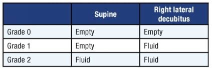 Gastric content grading system to determine aspiration risk.