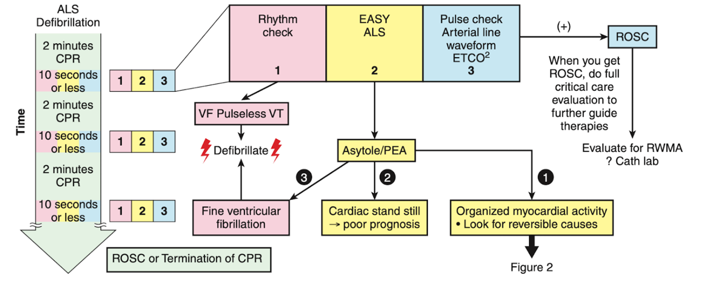 Figure 1. Algorithm for the use of EASy-ALS.
